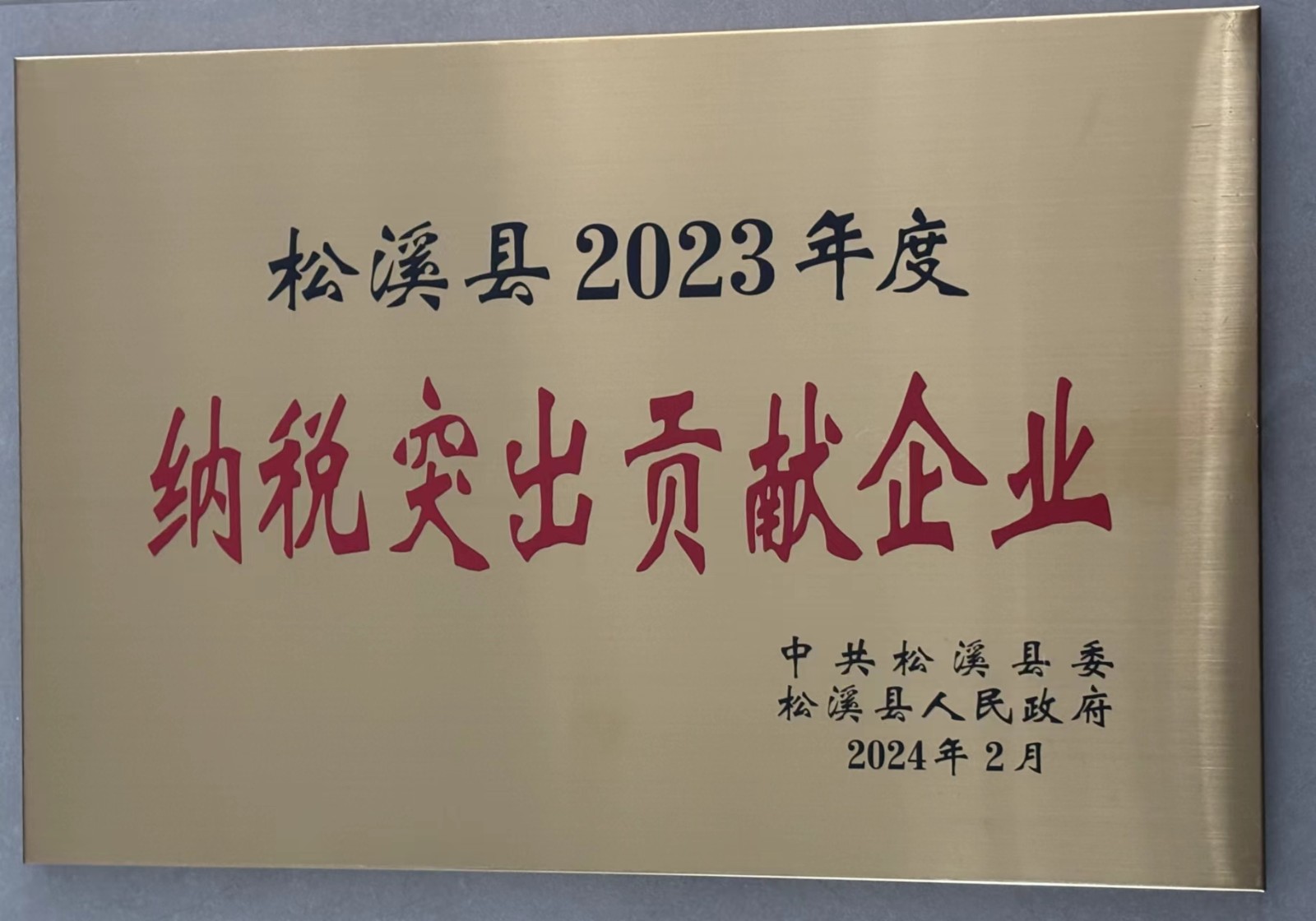 喜報!易順建工集團榮獲“松溪縣2023年度納稅突出貢獻企業”稱號