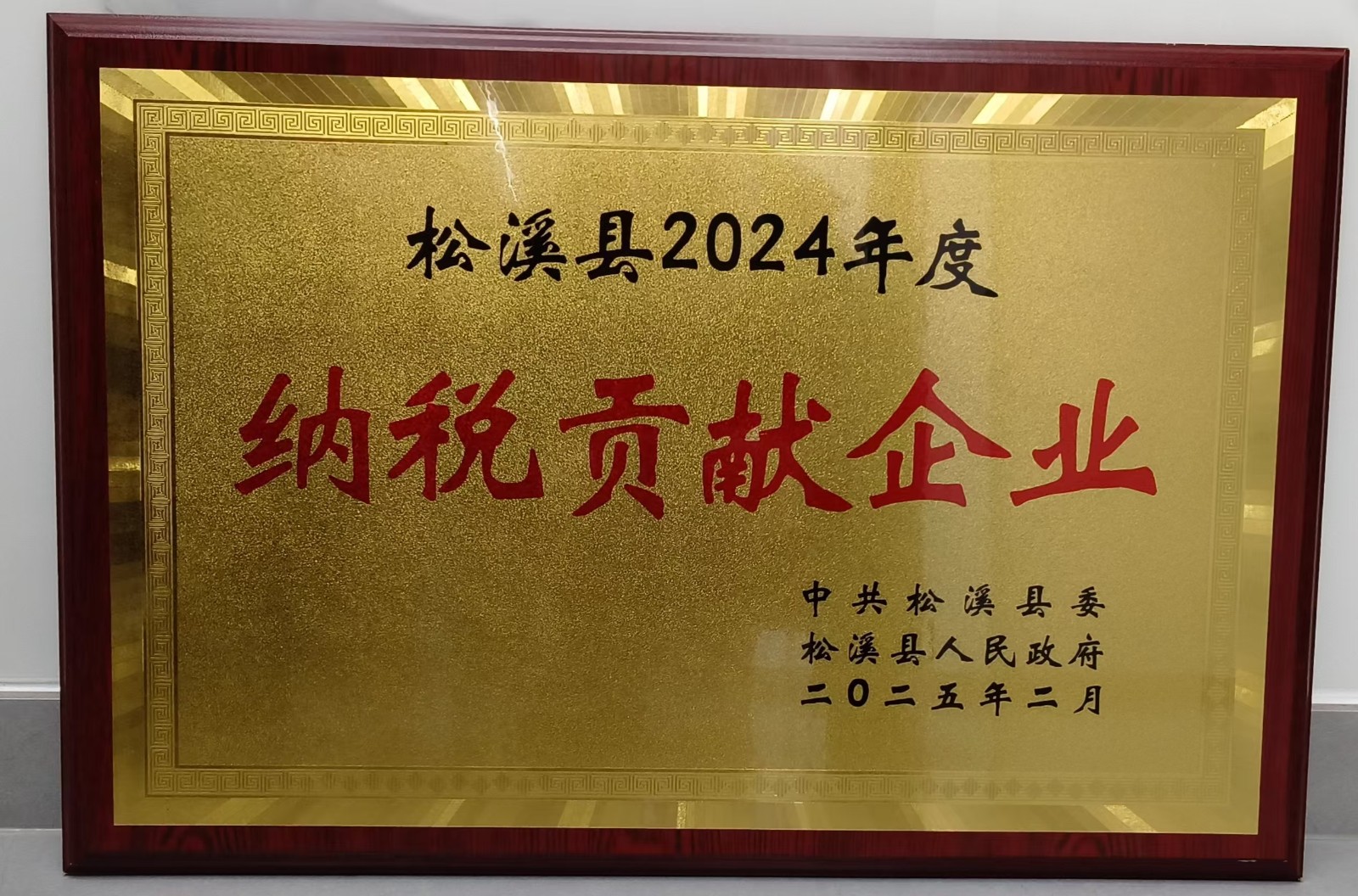 喜報(bào)!易順建工集團(tuán)榮獲“松溪縣2024年度納稅貢獻(xiàn)企業(yè)”稱號(hào)